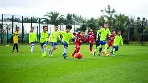 雄鹿继续领跑NBA实力榜，勇士跌落至垫底位置