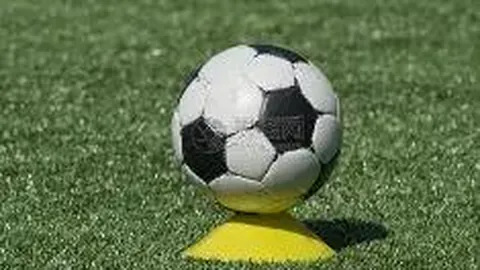 俄体操运动员因挺普京遭德俱乐部禁赛