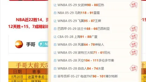 流量密码解析英超分析：广夏对决上海，13胜8奥秘
